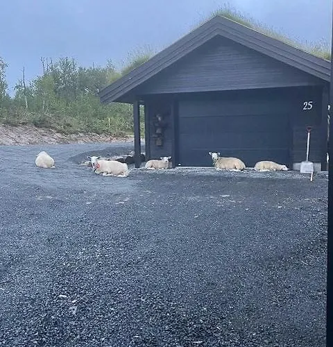 Modern With Views Of Langsua National Park * Etnedal